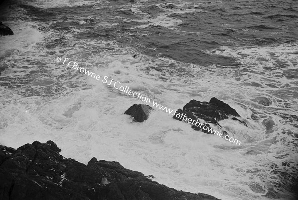 ATLANTIC DRIVE COASTAL SCENE